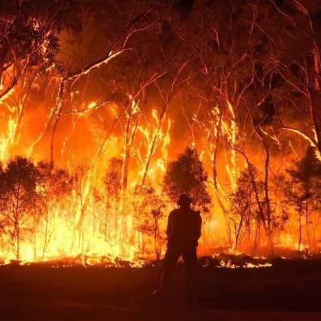 Australian bushfires 2019-20: what does this mean for the pulp & paper industry?