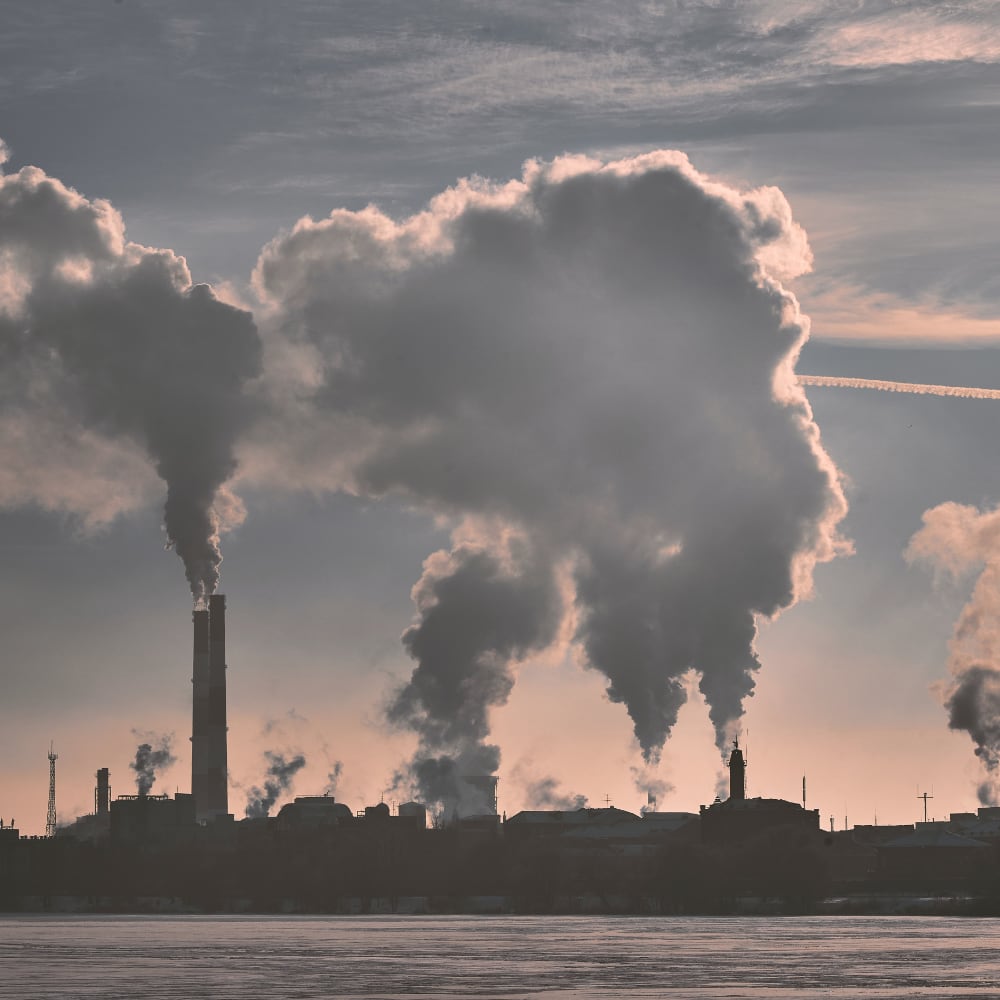 Labour & Environment