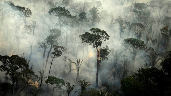 Indonesian court jails indigenous farmer in conflict with paper giant APP