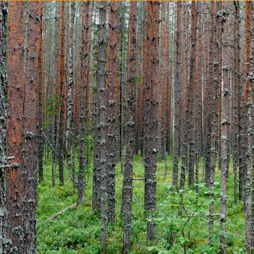 Still Feeling Stumped?