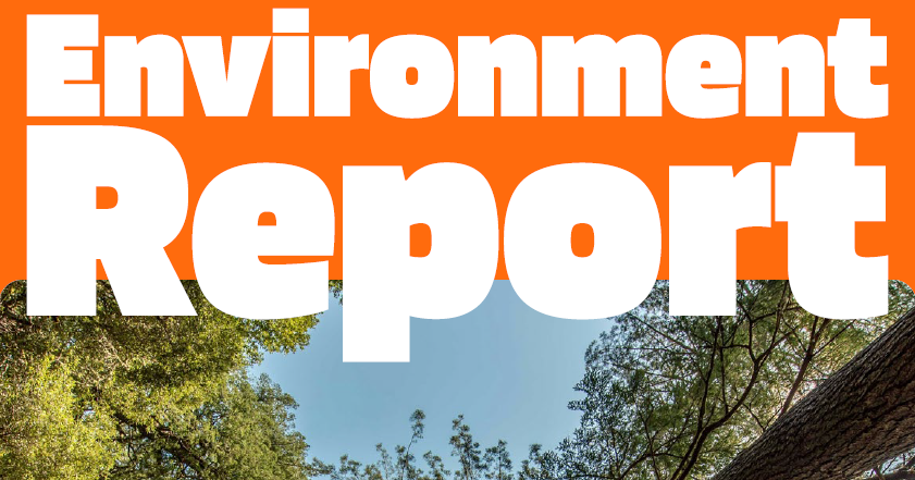 Book Chain Project Environment Report 2024